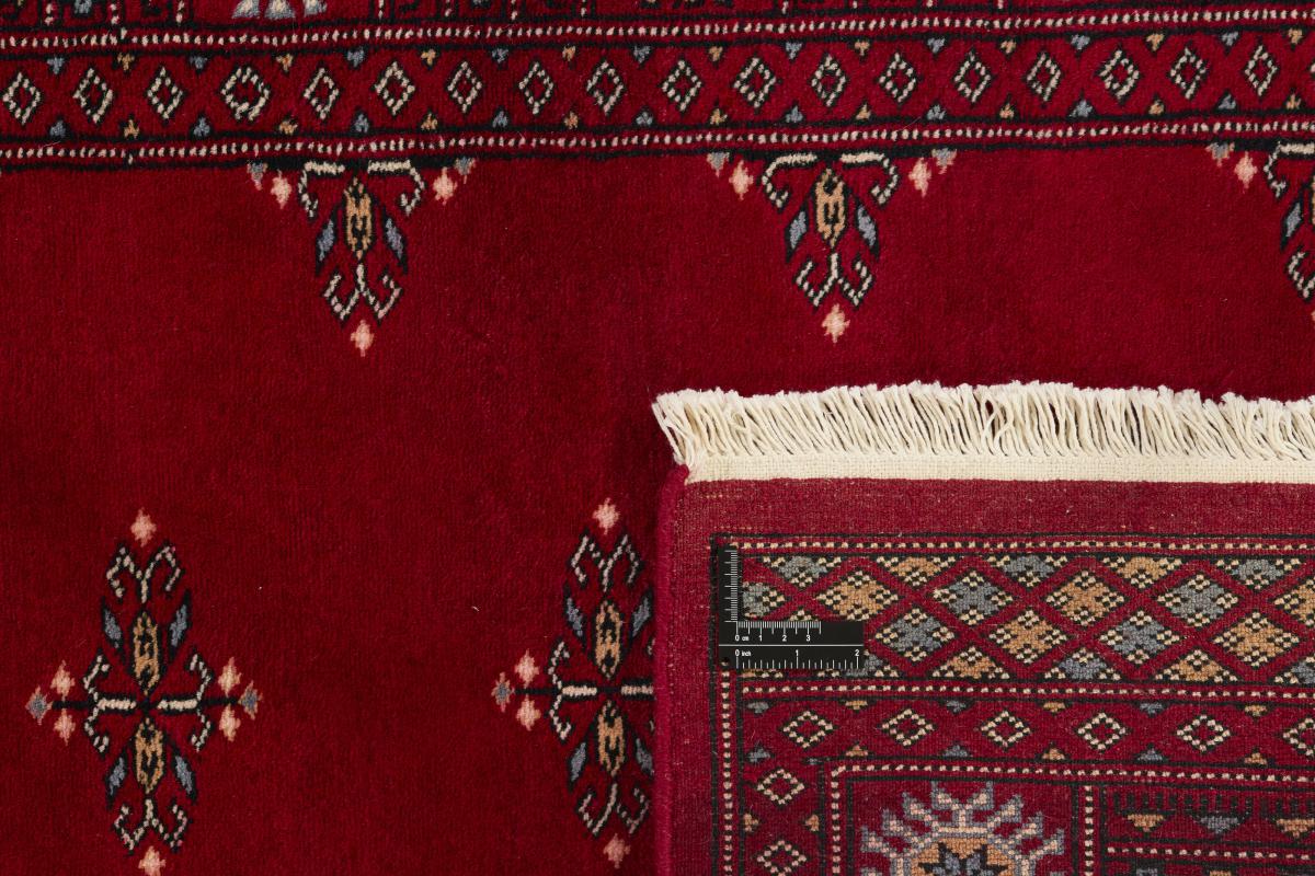 Pakistan Buchara 3ply - 1