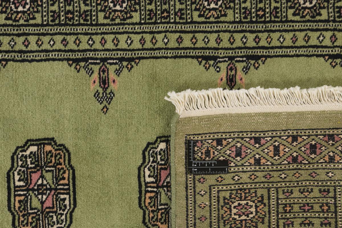 Pakistan Buchara 2ply - 1