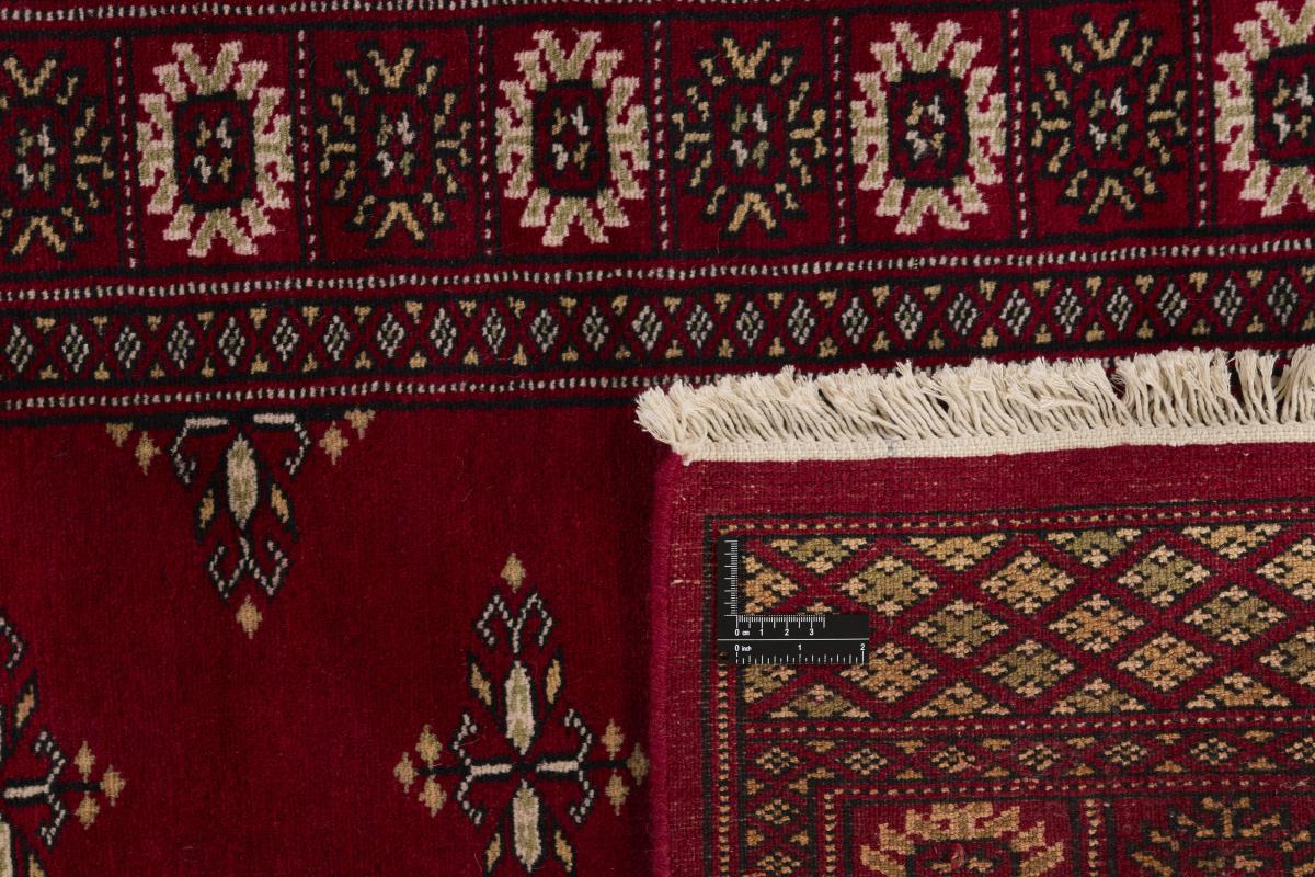 Pakistan Buchara 2ply - 1