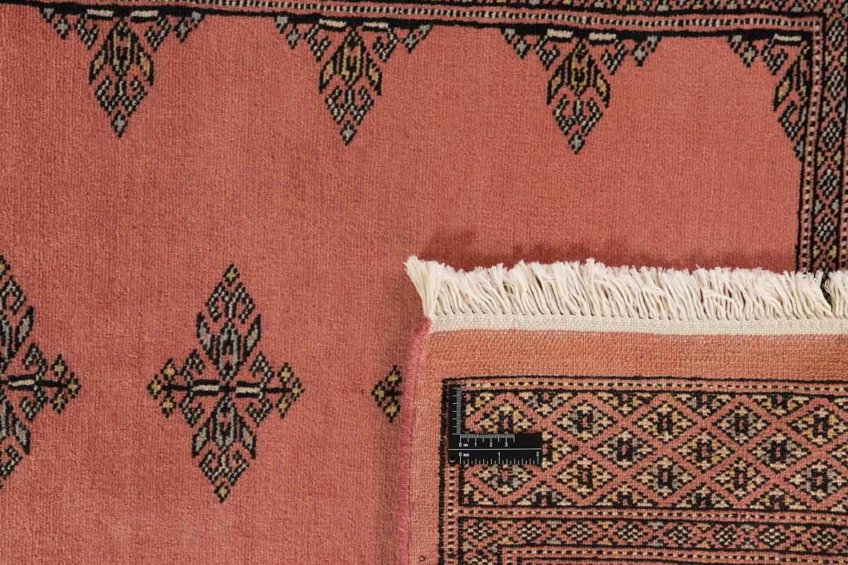 Pakistan Buchara 2ply - 1