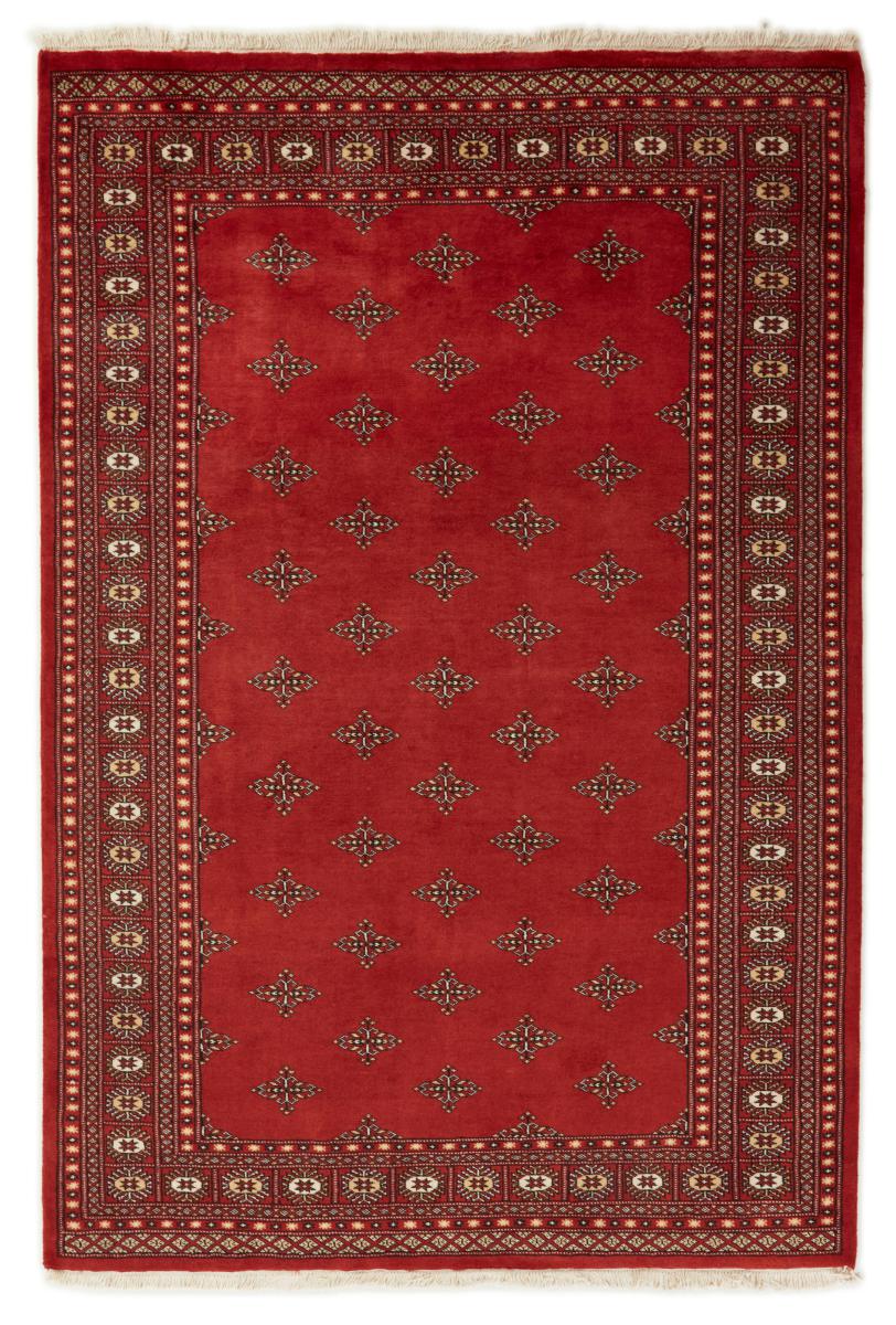 Pakistani rug Pakistan Buchara 2ply 251x170 251x170, Persian rug Hand-knotted
