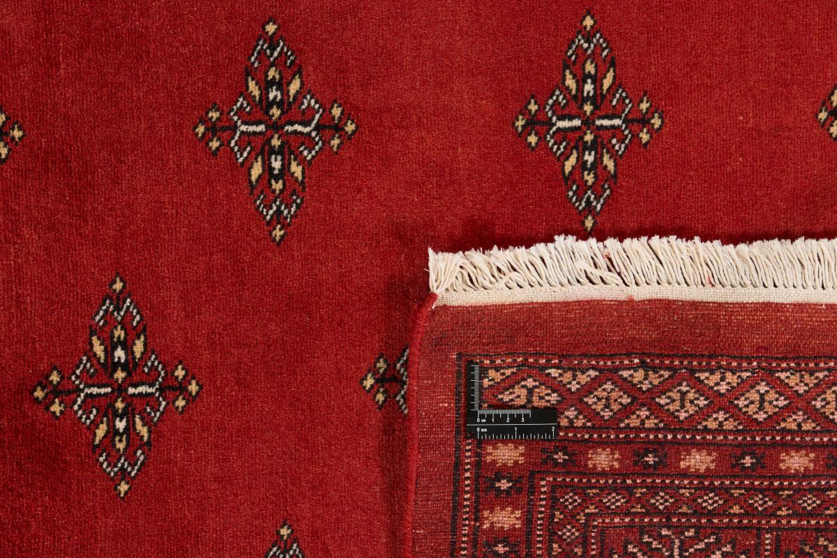 Pakistan Buchara 2ply - 1