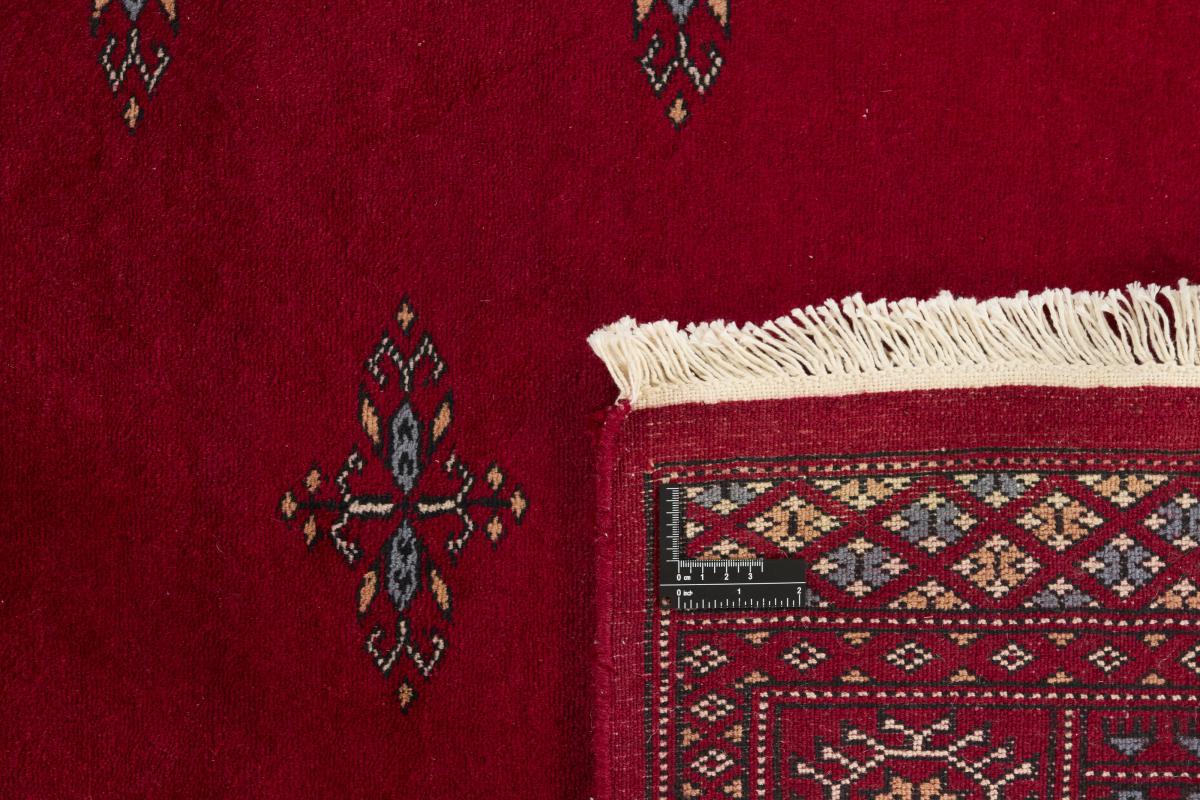 Pakistan Buchara 3ply - 1