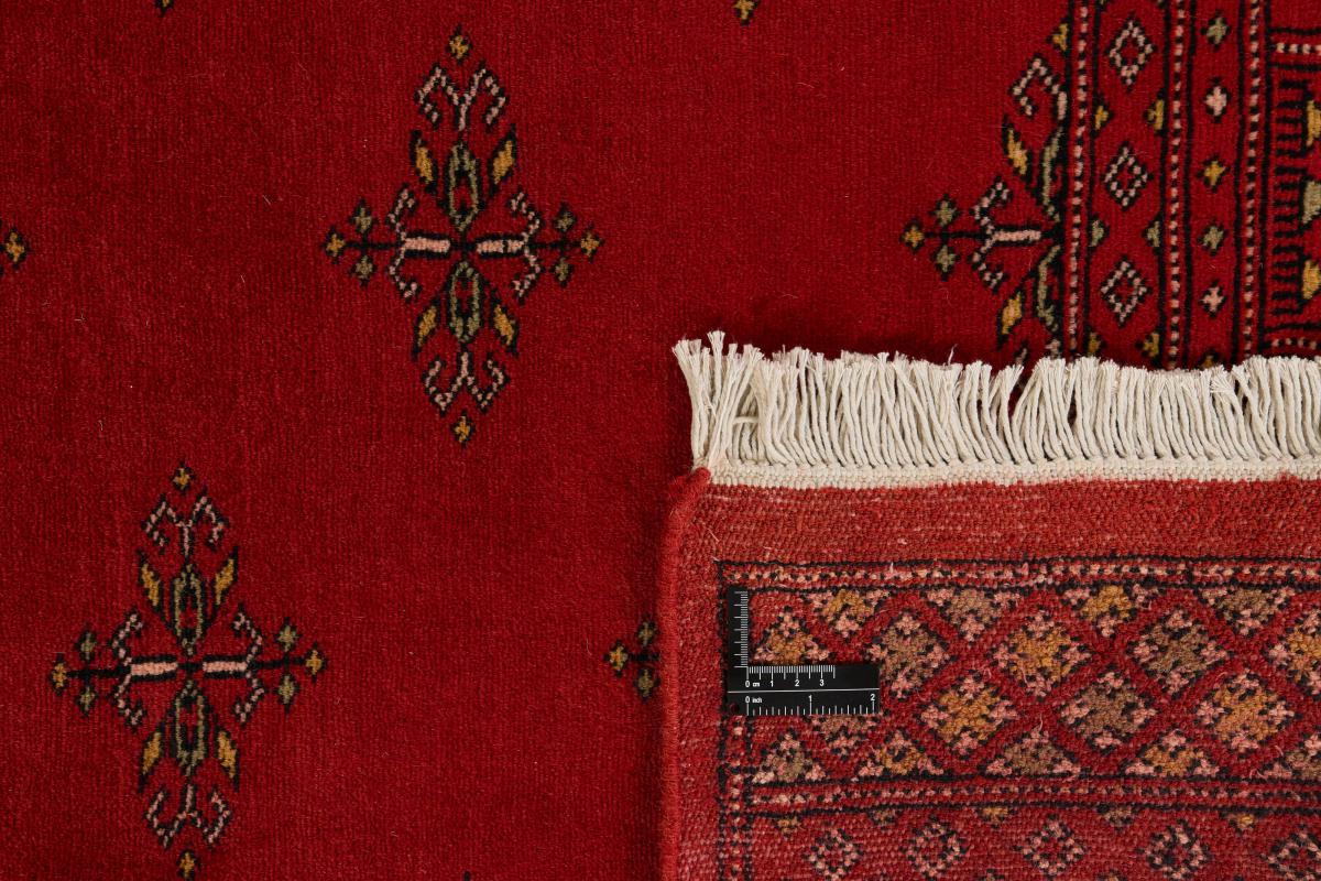Pakistan Buchara 2ply - 1
