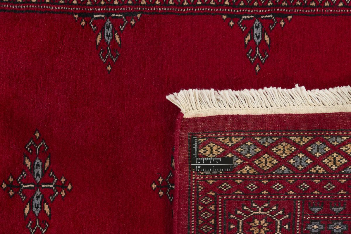 Pakistan Buchara 3ply - 1