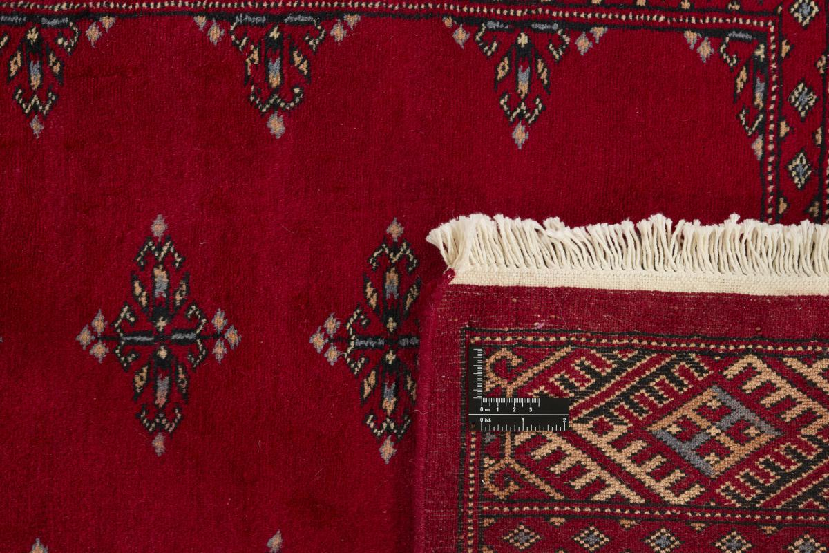 Pakistan Buchara 3ply - 1