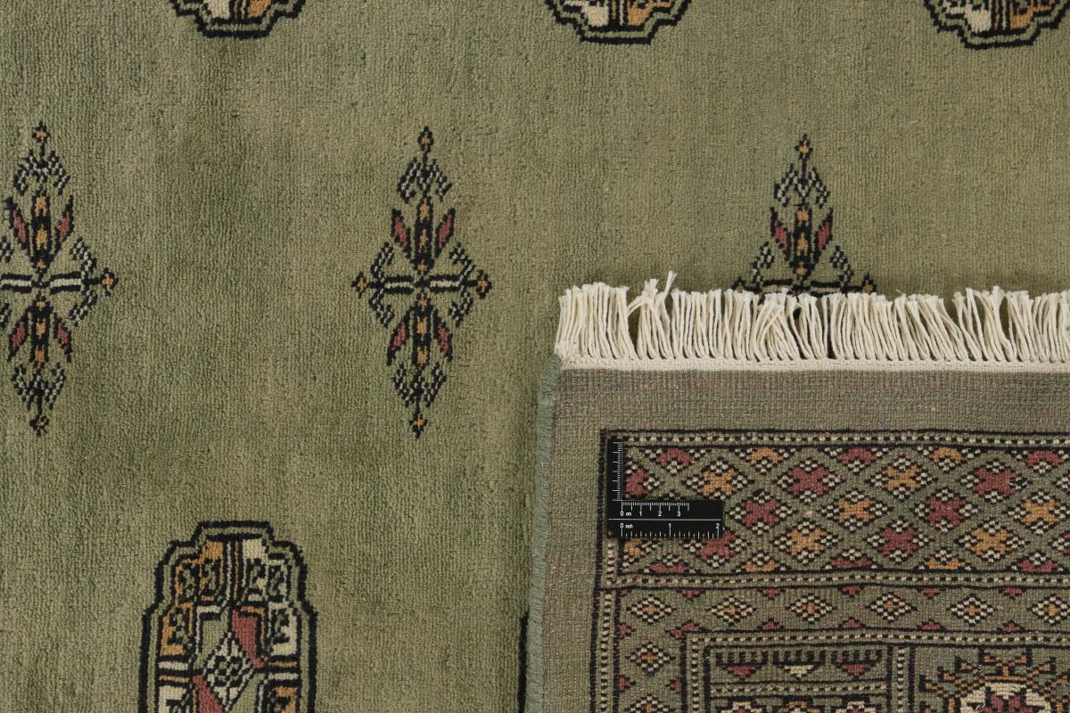Pakistan Buchara 3ply - 1