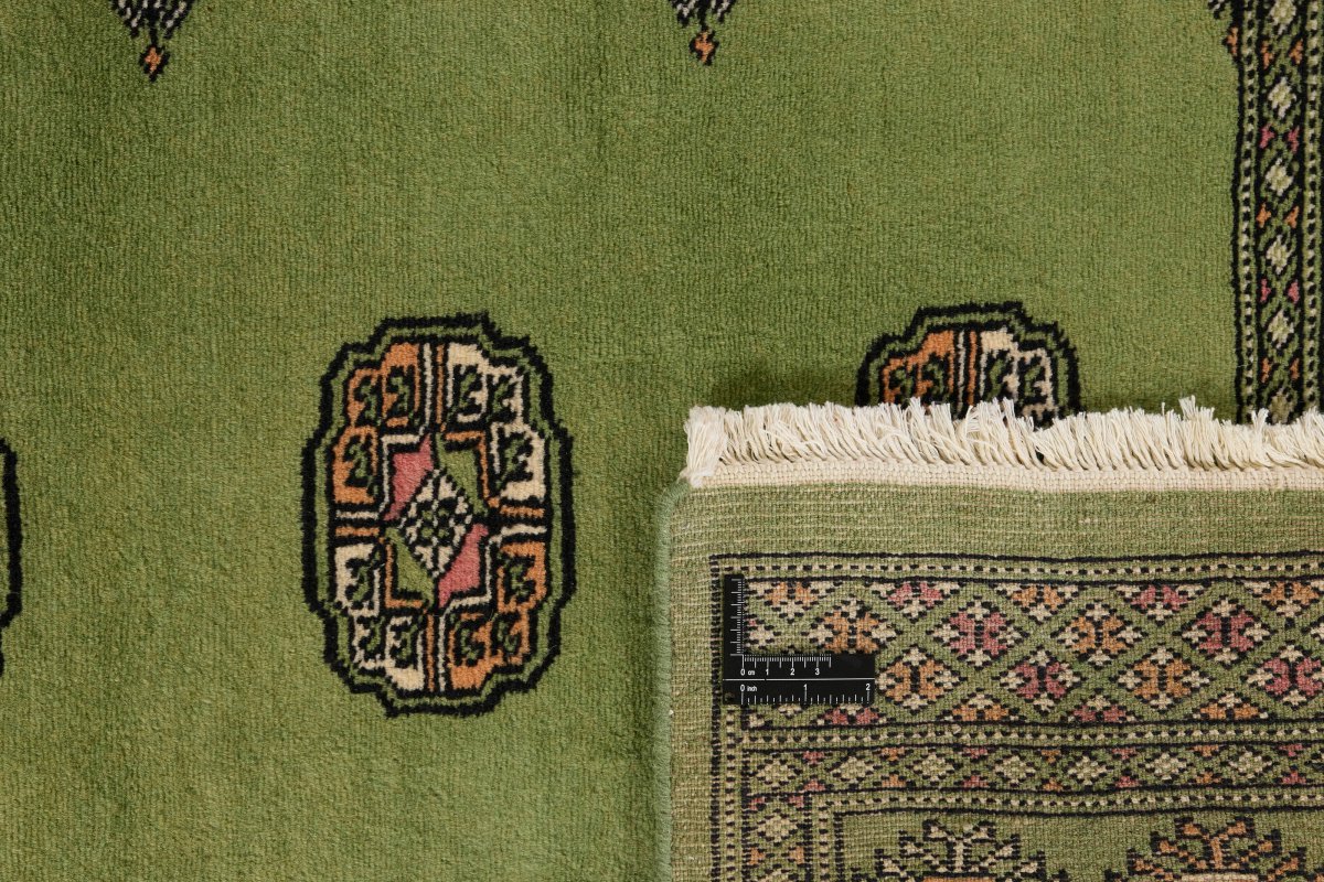 Pakistan Buchara 2ply - 1
