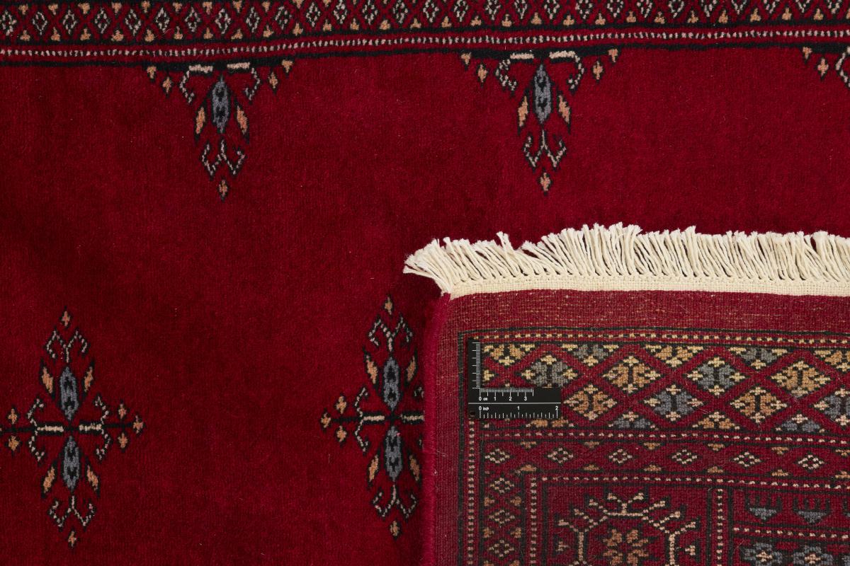 Pakistan Buchara 3ply - 1