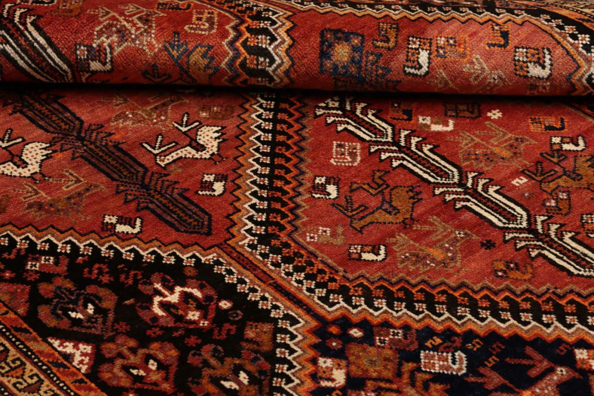 Shiraz - 1