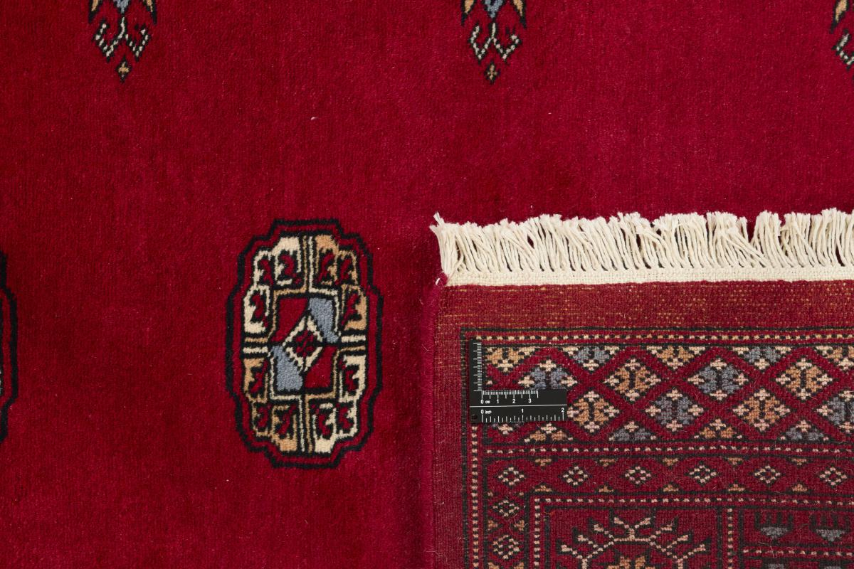 Pakistan Buchara 3ply - 1