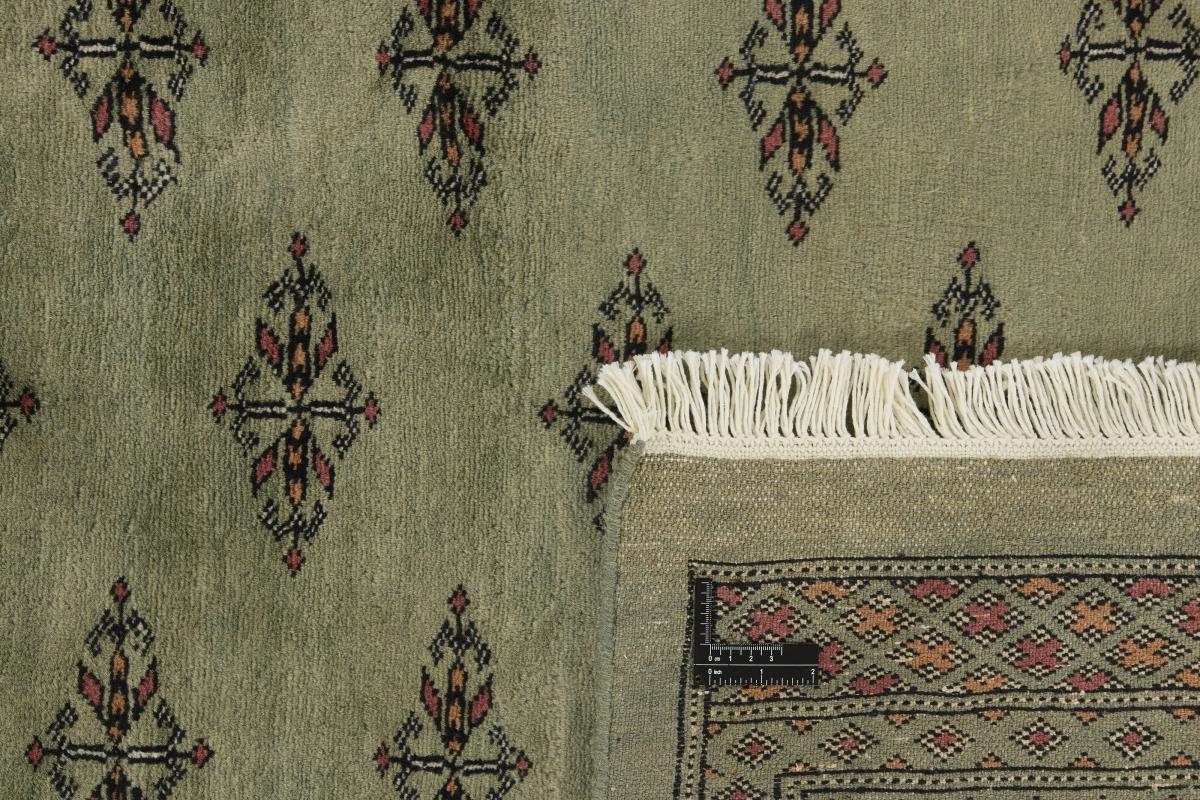 Pakistan Buchara 3ply - 1
