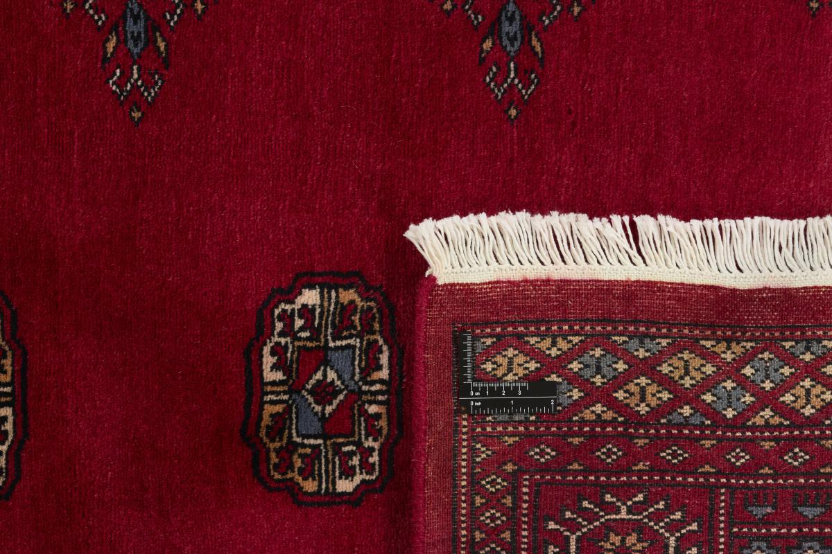 Pakistan Buchara 3ply - 1