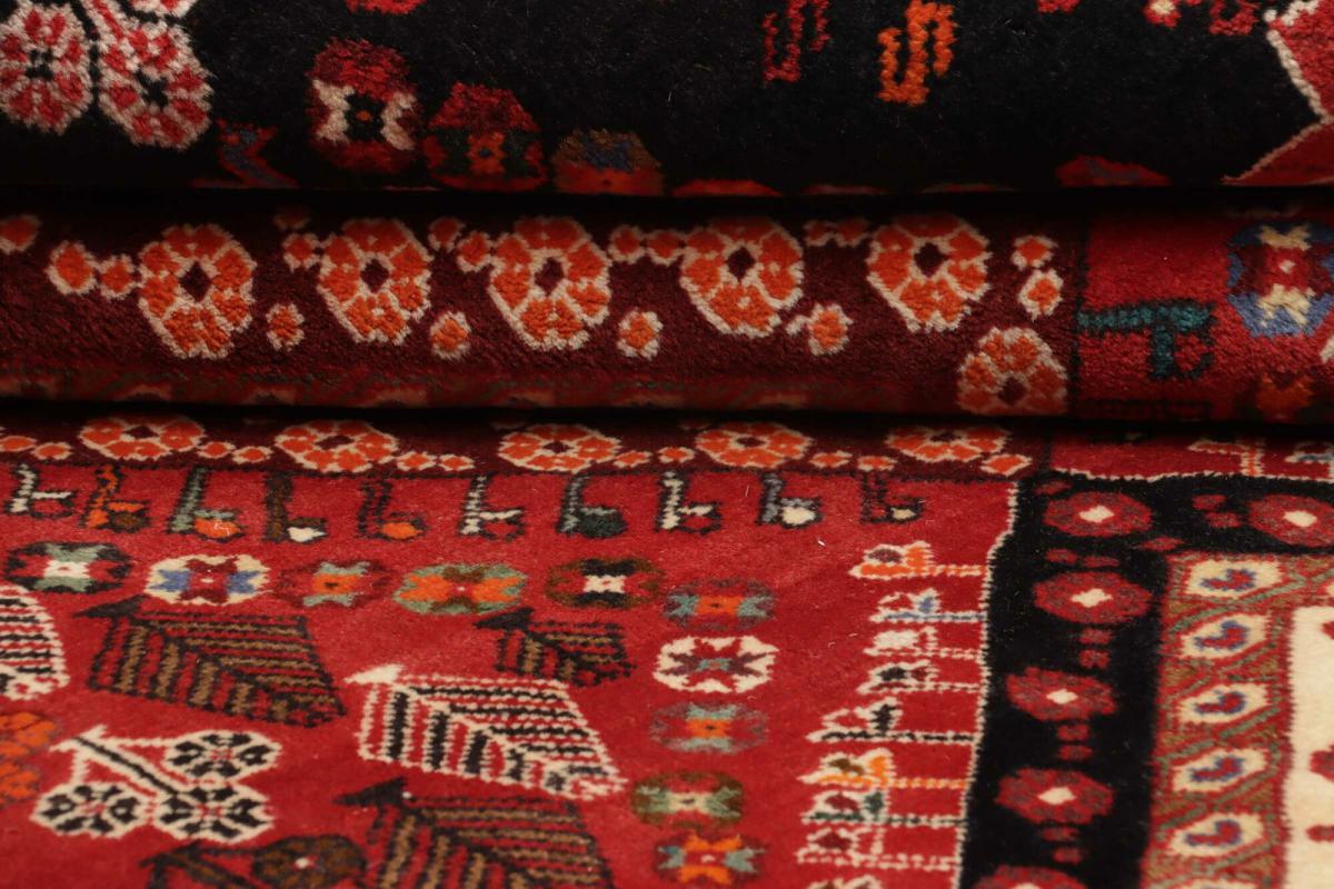 Shiraz - 1