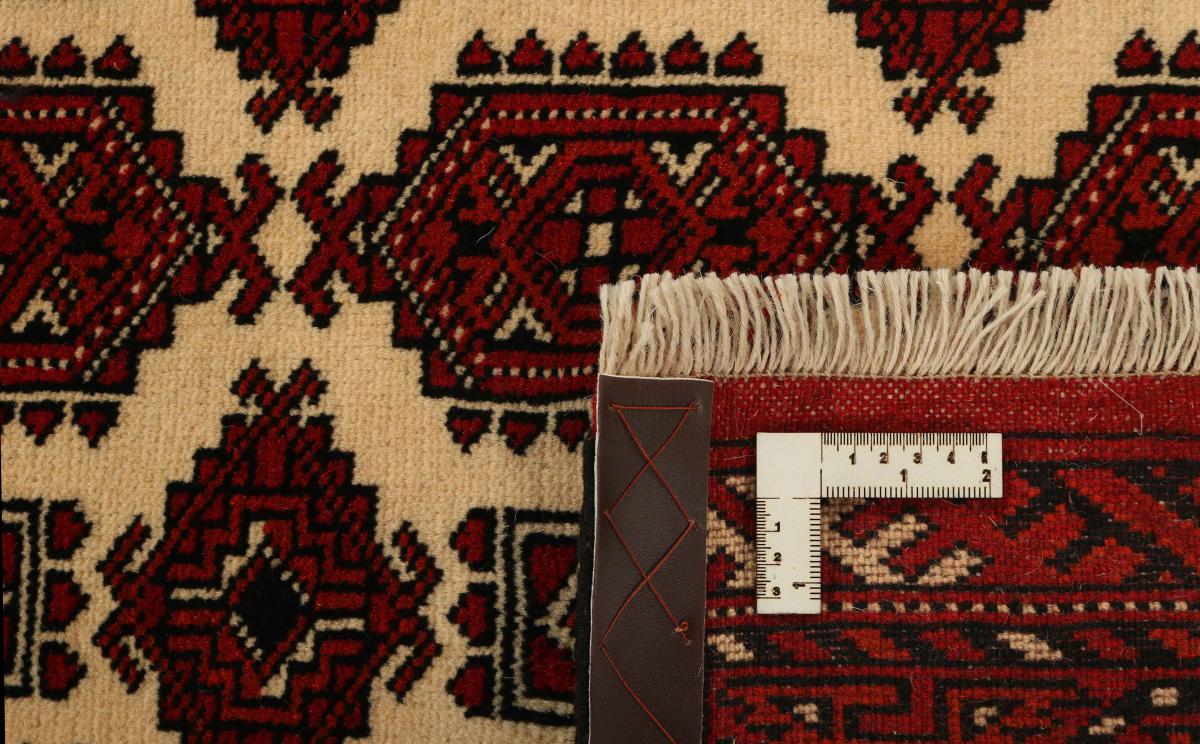 Turkaman - 1