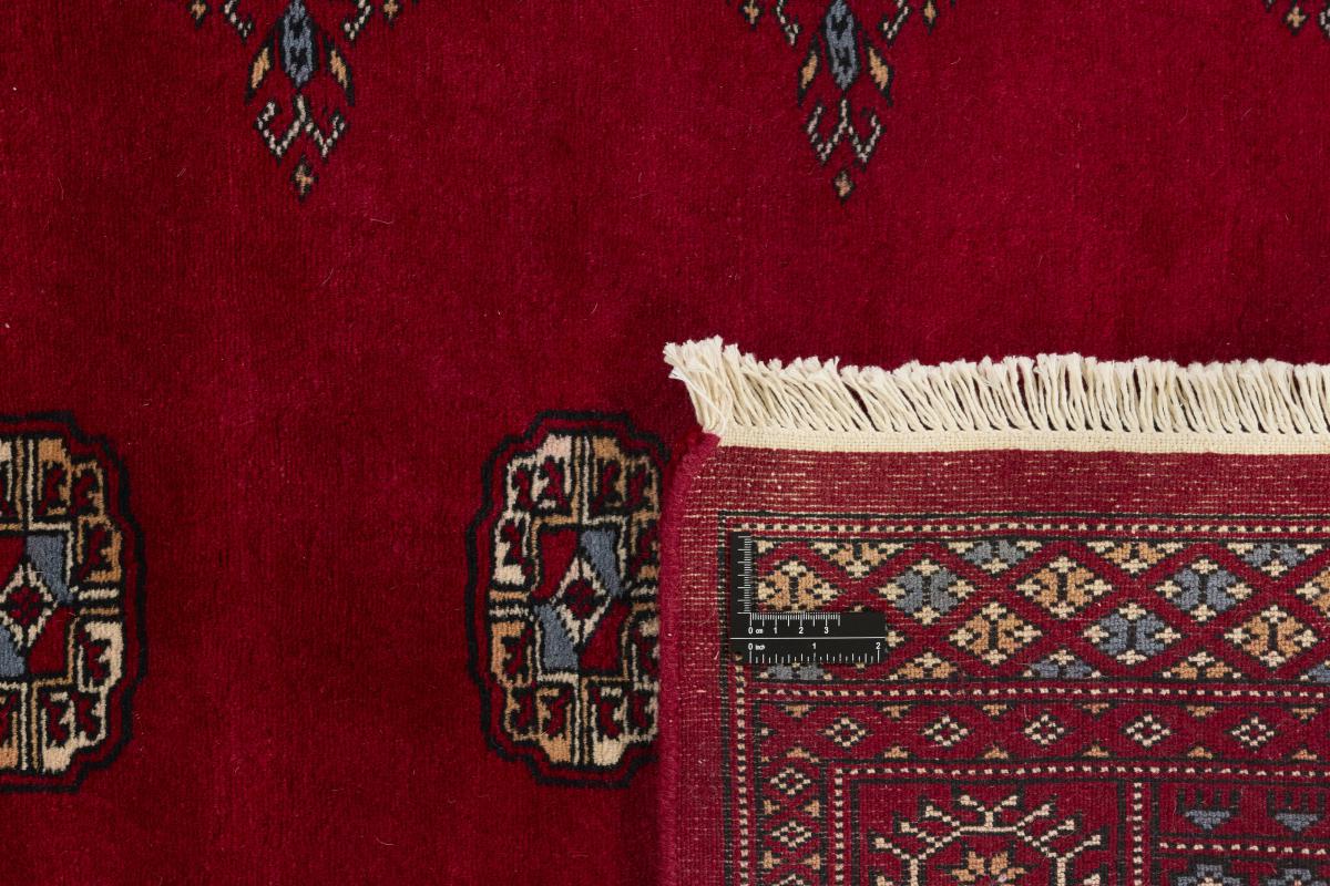 Pakistan Buchara 3ply - 1