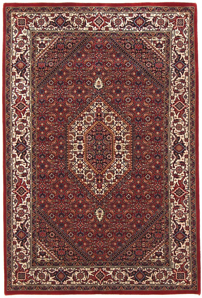 Indo rug Bidjar  6'1"x4'1" 6'1"x4'1", Persian Rug Knotted by hand
