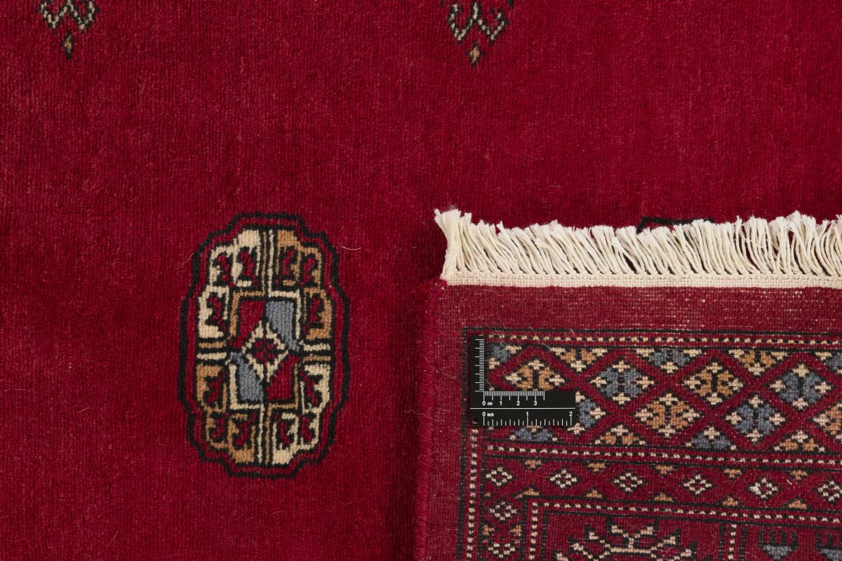 Pakistan Buchara 3ply - 1