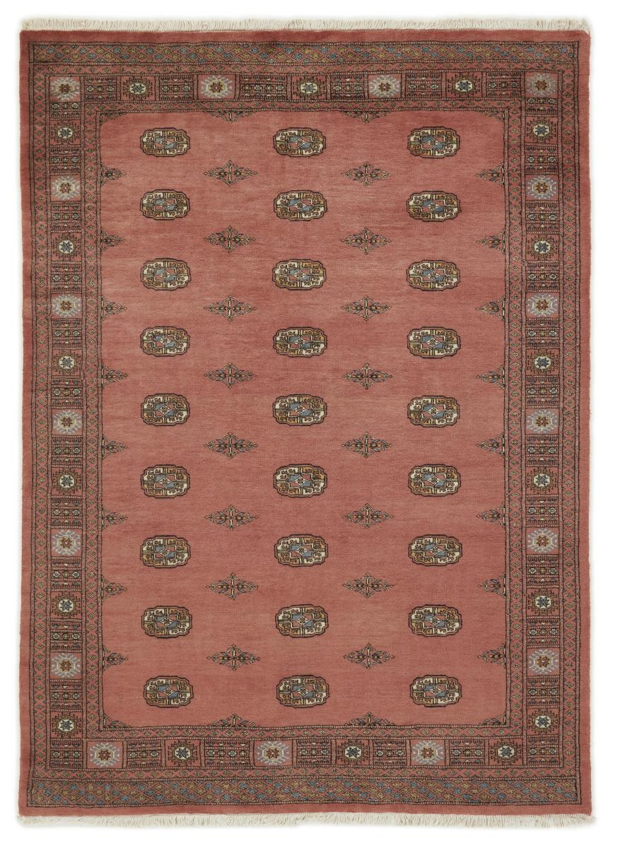 Pakistanilainen matto Pakistan Buchara 3ply 237x173 237x173, Persialainen matto Käsinsolmittu