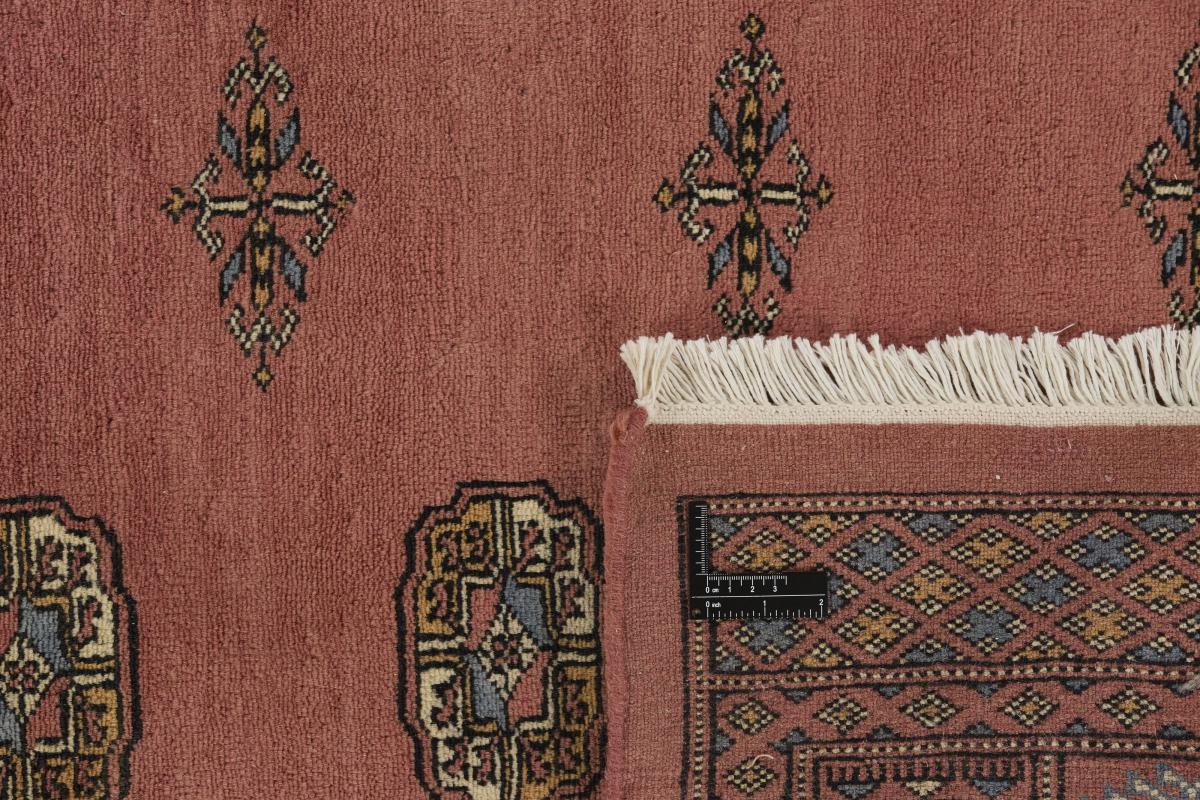 Pakistan Buchara 3ply - 1