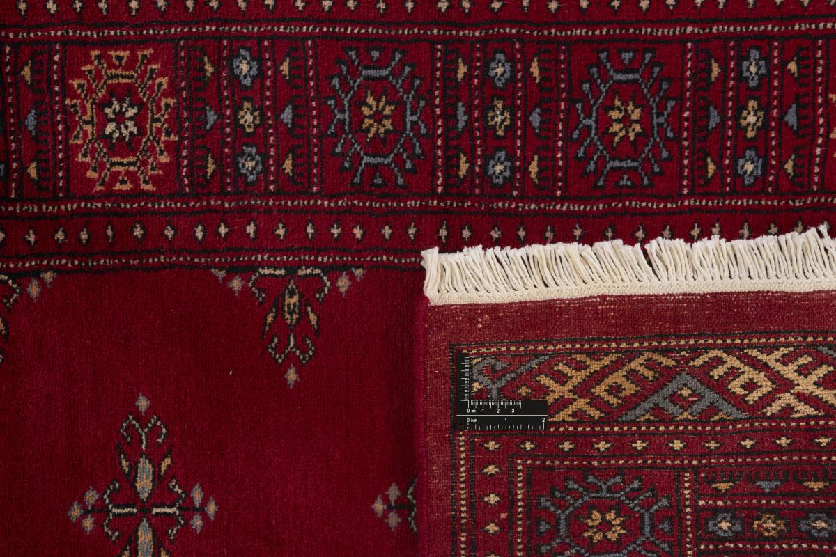 Pakistan Buchara 2ply - 1