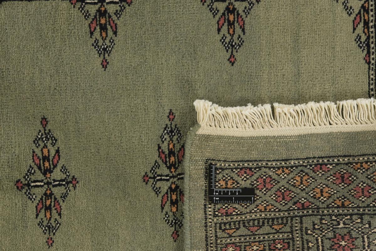 Pakistan Buchara 3ply - 1