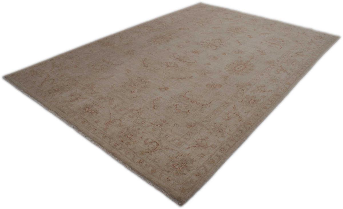 Ziegler Farahan - 1