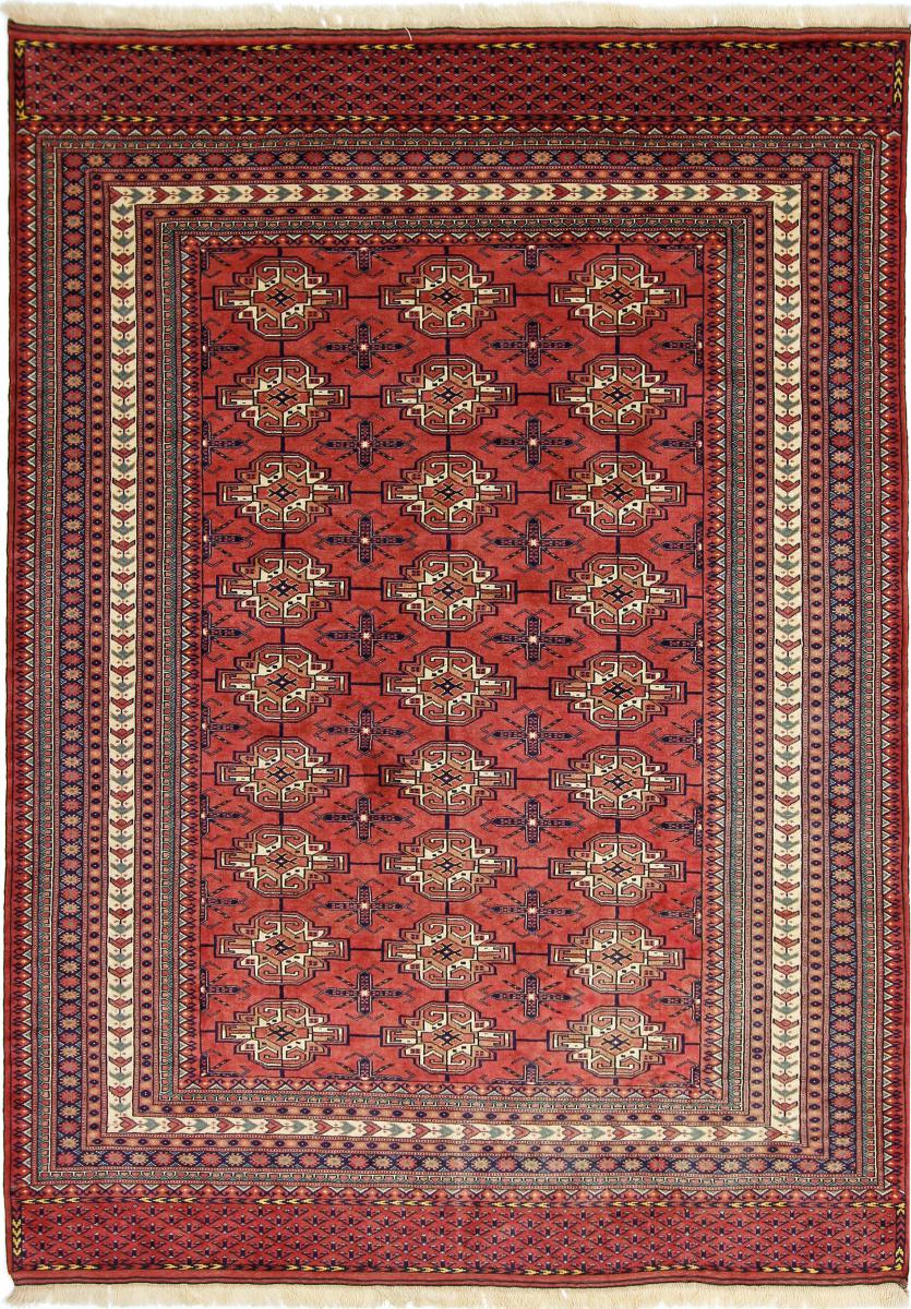 Perzsa szőnyeg Turkaman 6'11"x5'3" 6'11"x5'3", Perzsa szőnyeg Kézzel csomózva