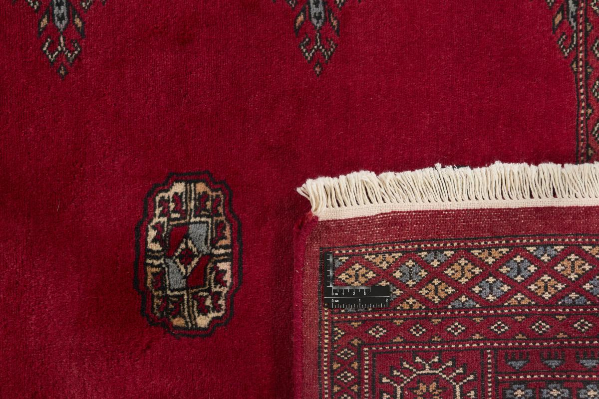 Pakistan Buchara 3ply - 1