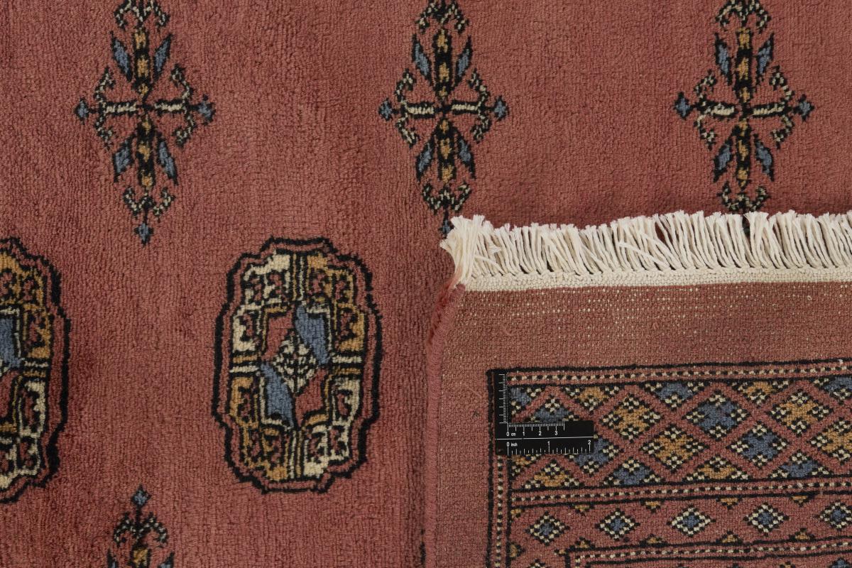Pakistan Buchara 3ply - 1
