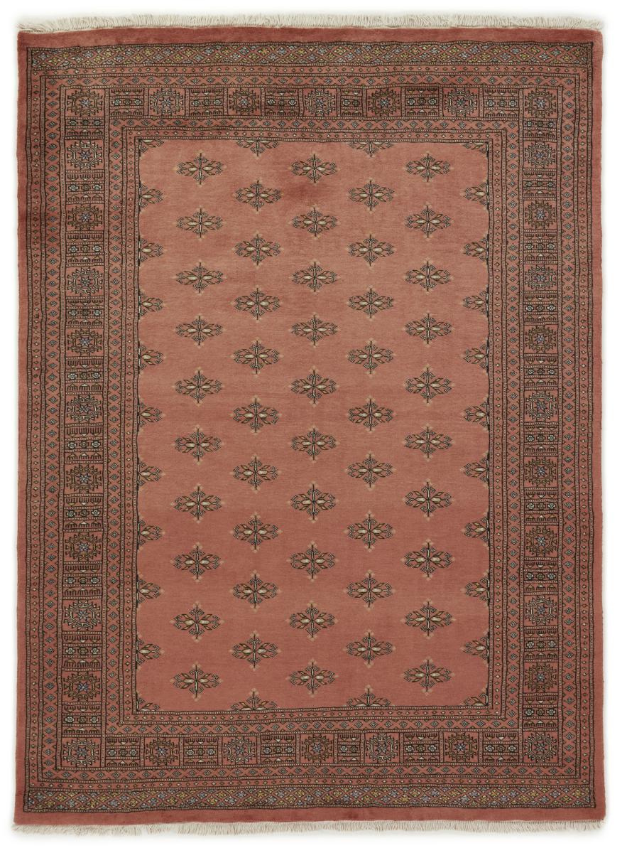 Tappeto pakistano Pakistan Buchara 3ply 246x178 246x178, Tappeto persiano Annodato a mano