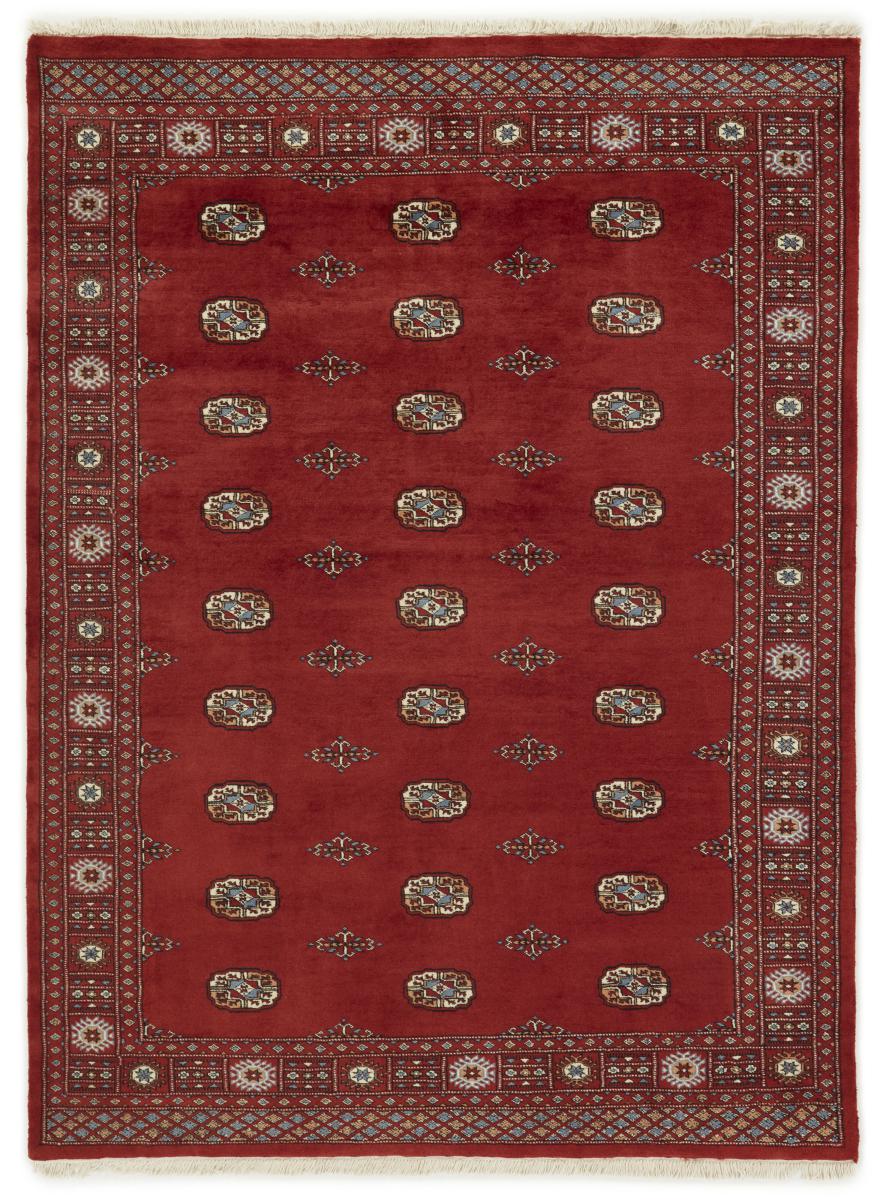 Tappeto pakistano Pakistan Buchara 3ply 233x171 233x171, Tappeto persiano Annodato a mano