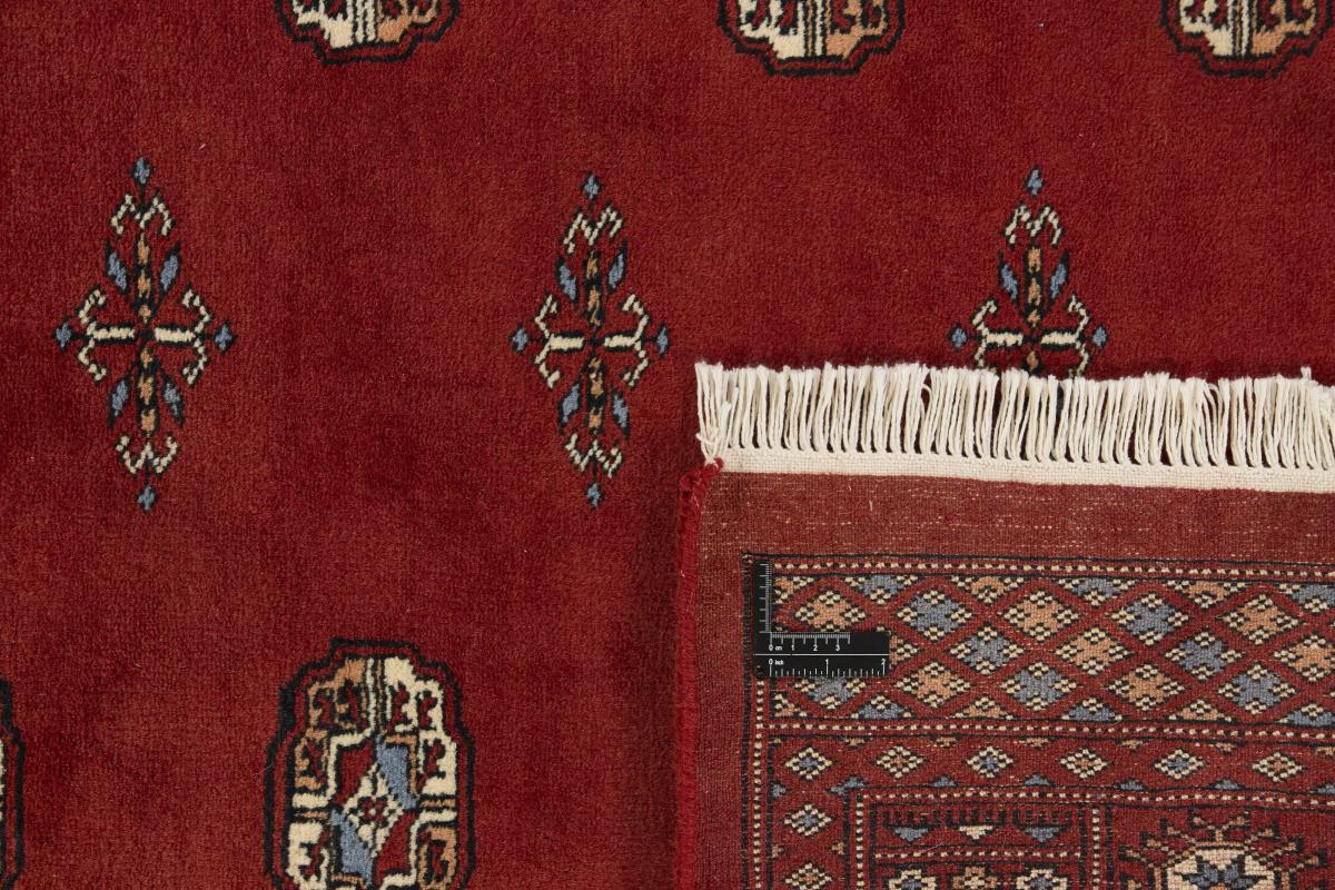 Pakistan Buchara 3ply - 1