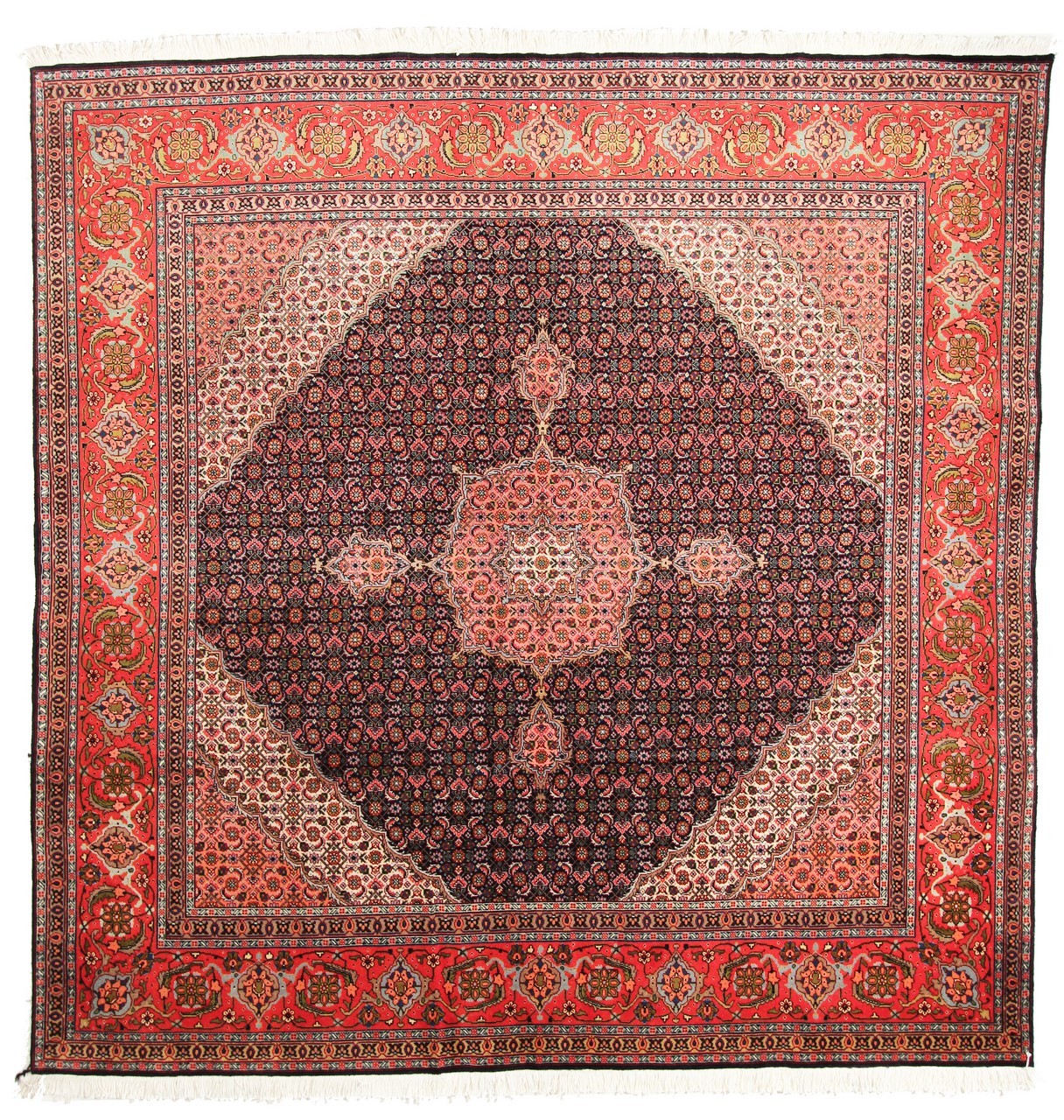 Tapis persan Tabriz 50Raj 204x200 204x200, Tapis persan Noué à la main