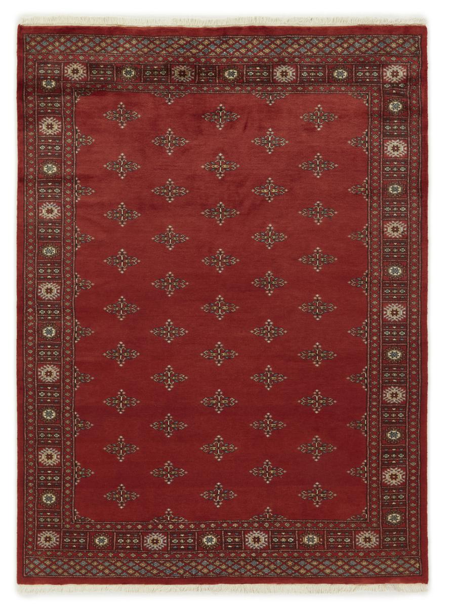 Pakistansk teppe Pakistan Buchara 3ply 234x171 234x171, Persisk teppe Håndknyttet