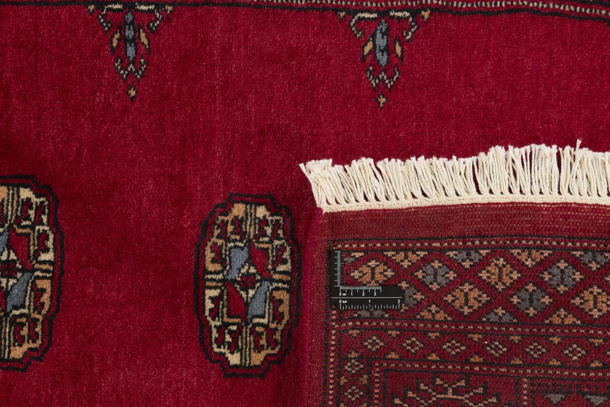 Pakistan Buchara 3ply - 1