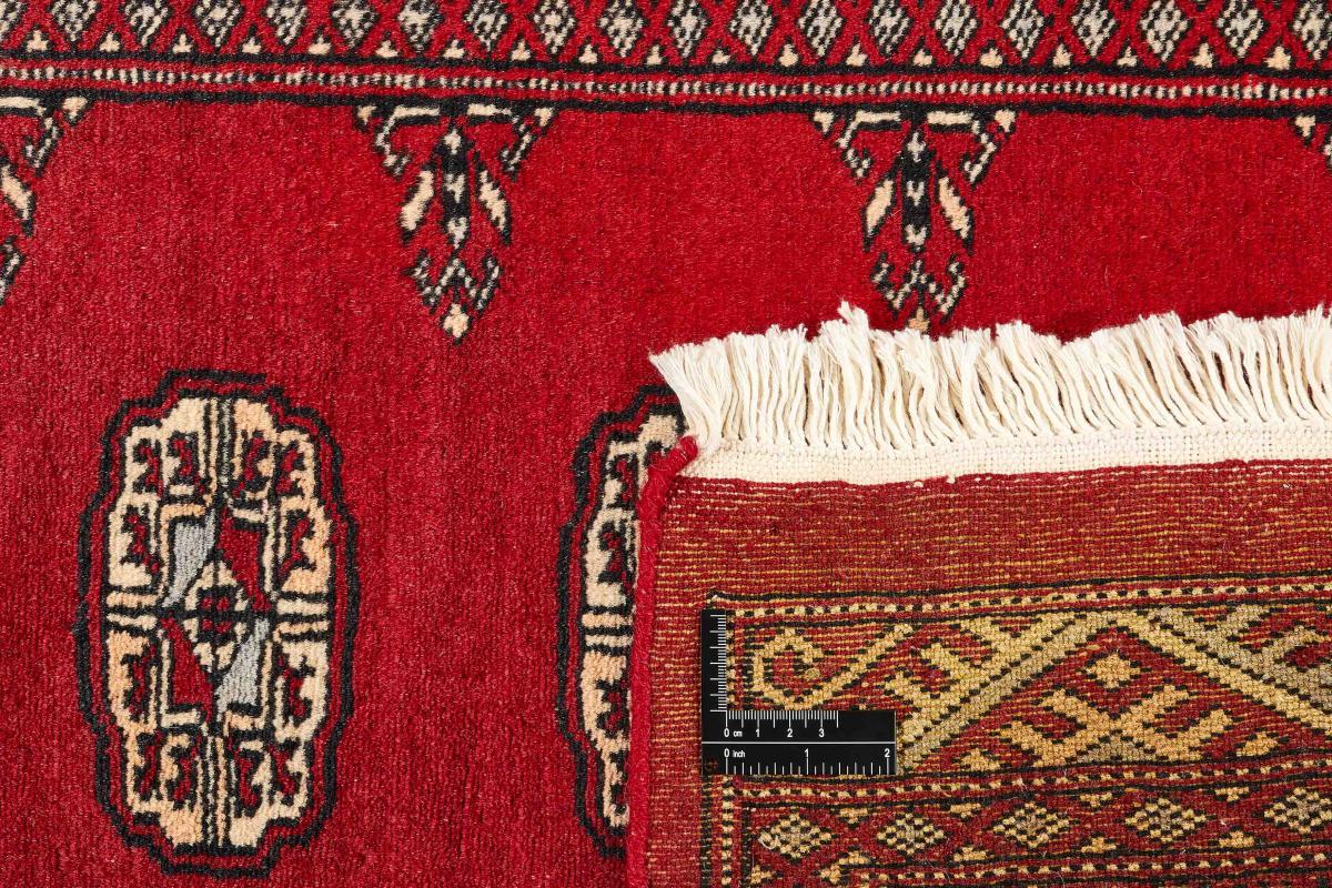 Pakistan Buchara 2ply - 1