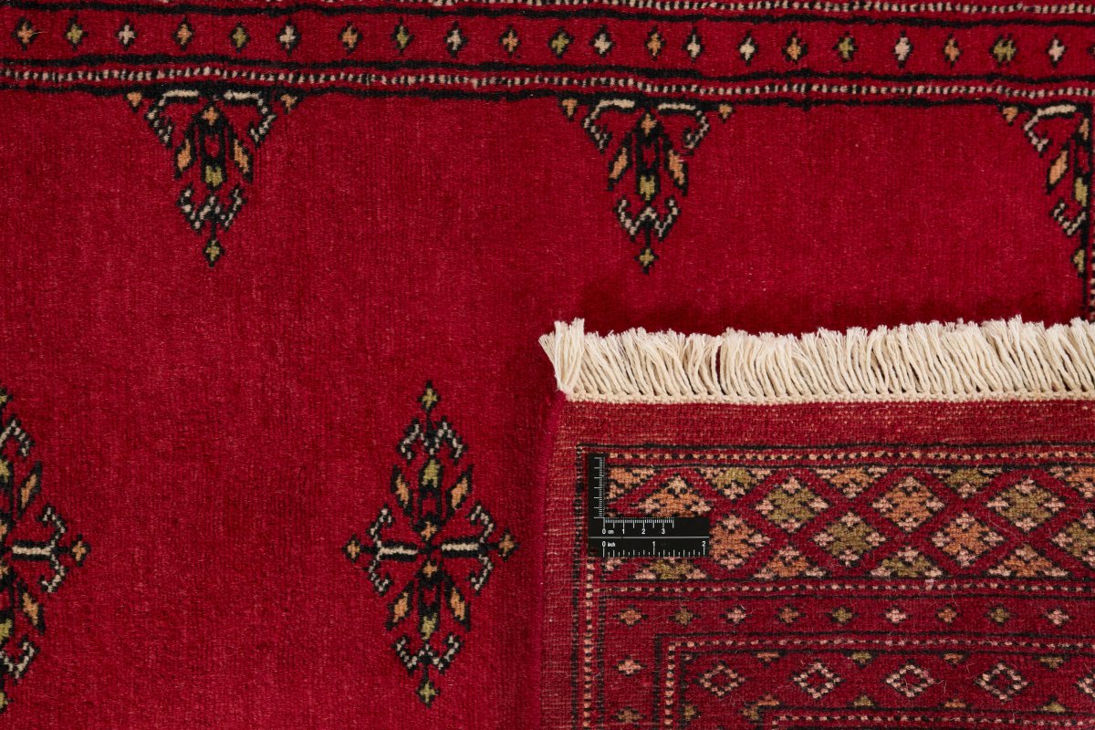 Pakistan Buchara 2ply - 1