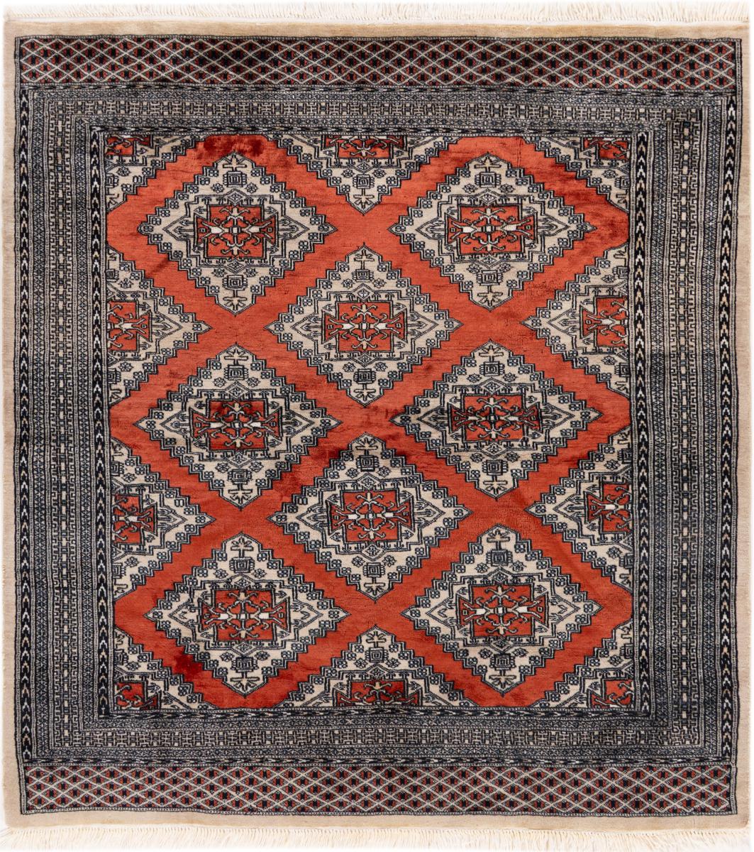 Pakistansk teppe Pakistan Buchara 2ply 165x153 165x153, Persisk teppe Knyttet for hånd