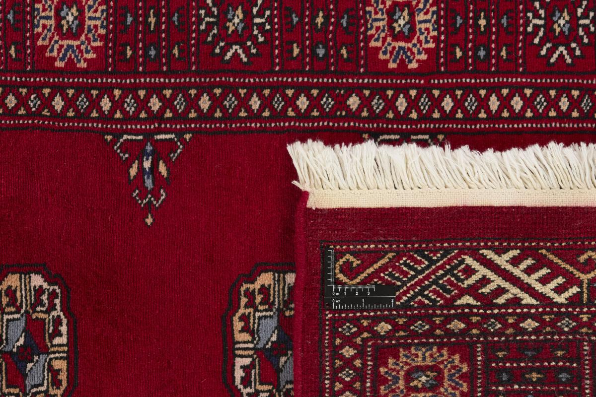 Pakistan Buchara 3ply - 1