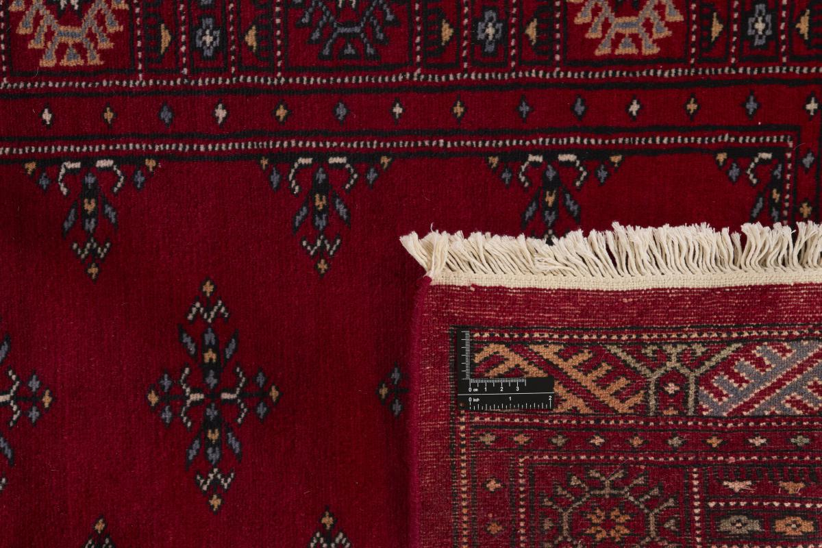 Pakistan Buchara 2ply - 1