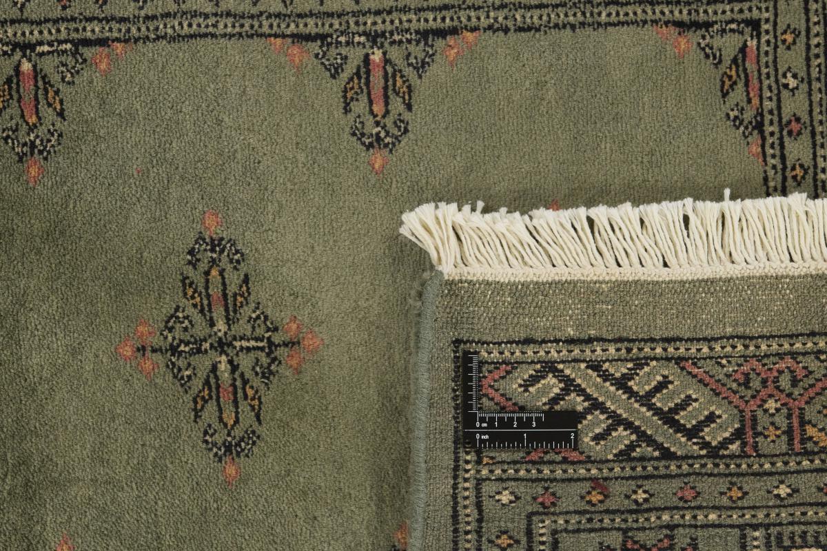 Pakistan Buchara 3ply - 1