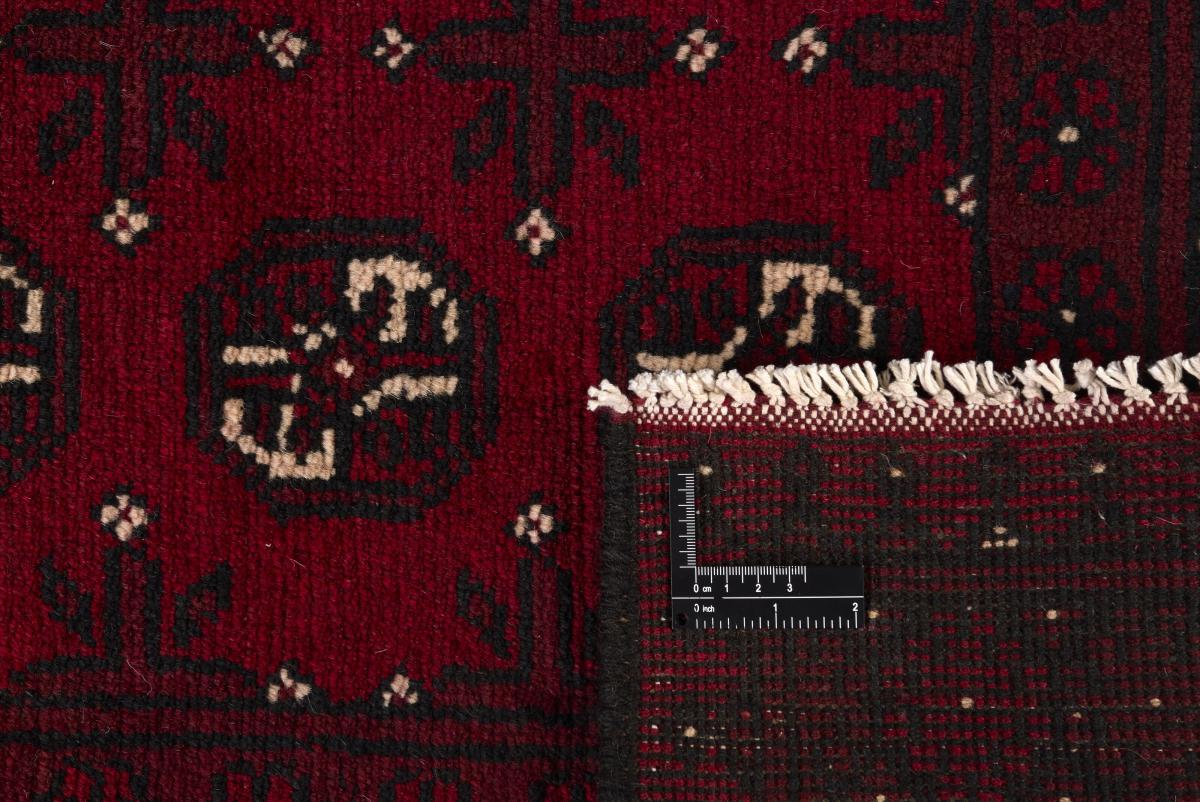 Afegão Akhche - 1
