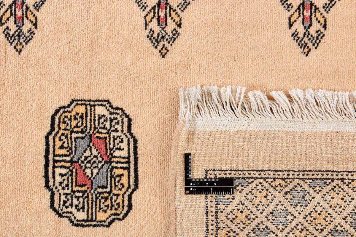 Pakistan Buchara 2ply - 1