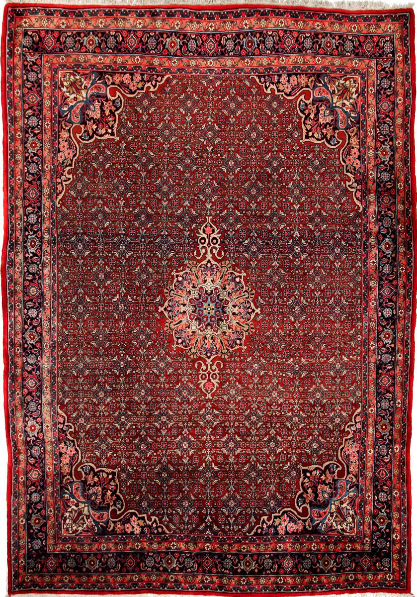 Persisk matta Bidjar 312x217 312x217, Persisk matta Knuten för hand