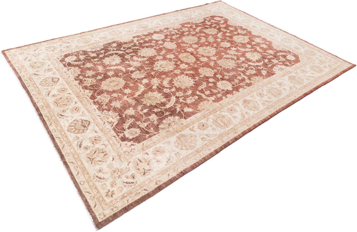 Ziegler Farahan - 1