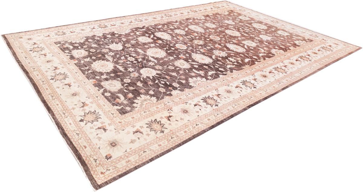 Ziegler Farahan - 1
