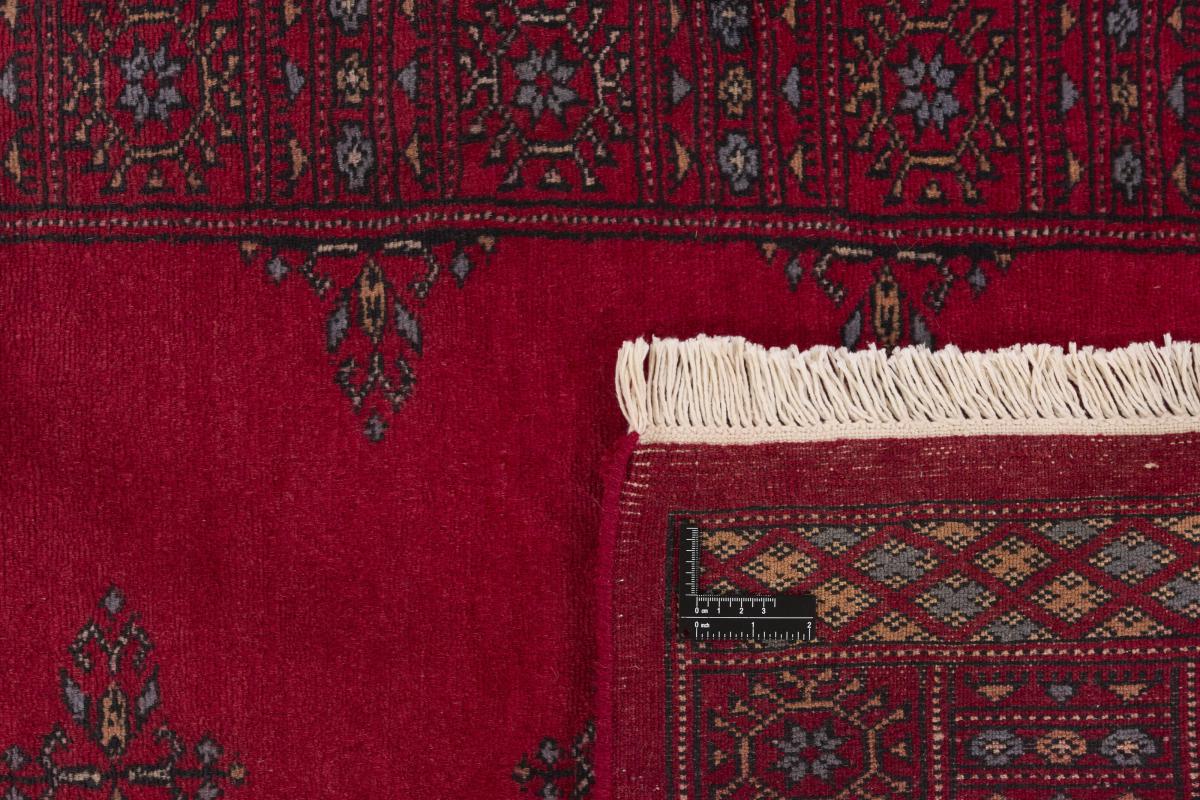Pakistan Buchara 3ply - 1