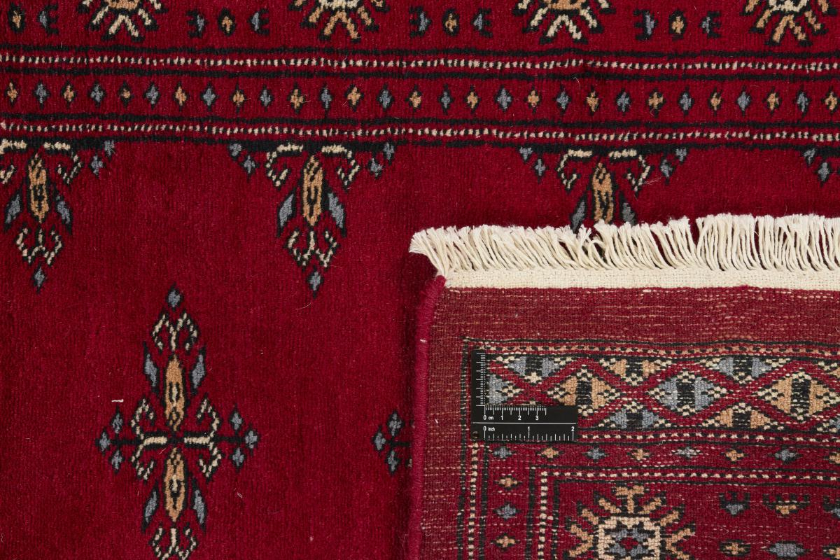 Paquistão Buchara 3ply - 1