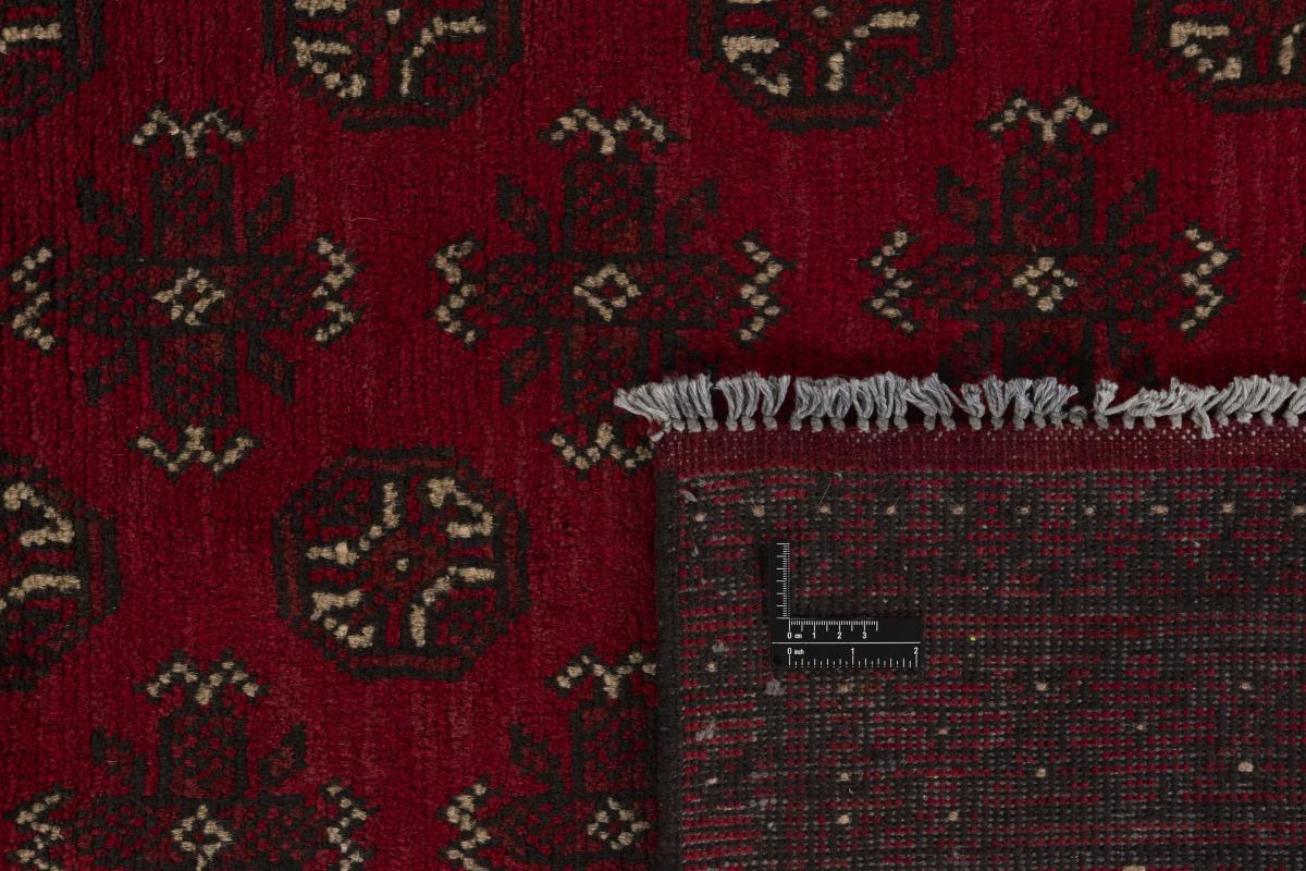 Afghan Akhche - 1